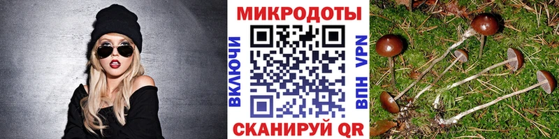 Купить  Заполярный  Галлюциногенные грибы Magic Shrooms 
