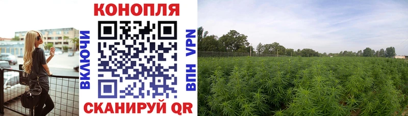 Купить закладки  Заполярный  Конопля ГИДРОПОН 
