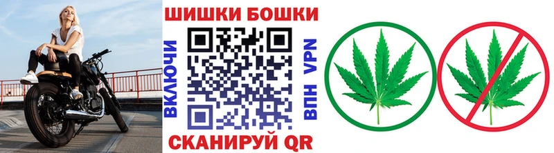 Шишки марихуана гибрид Заполярный